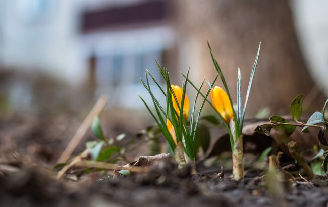 20 березня: чому цей день особливий, що не можна робити і у кого день ангела