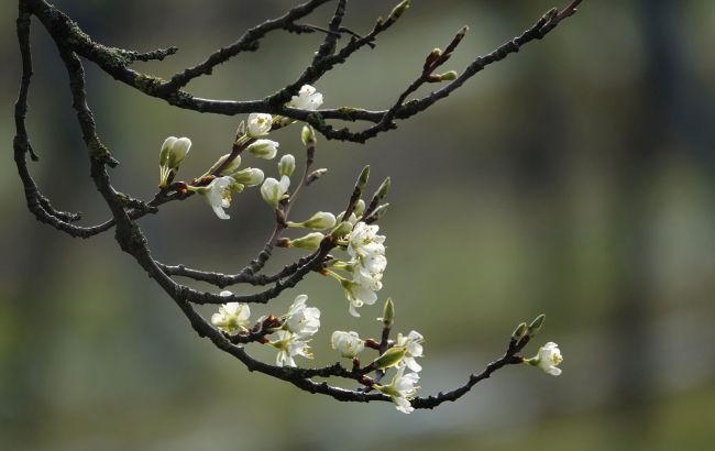В Украине резко изменится погода: синоптики показали новые карты