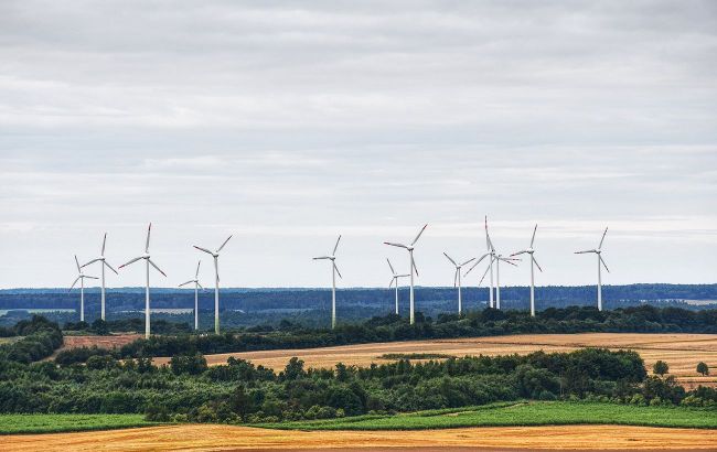 Для привлечения инвестиций власть должна решить кризис в "зеленой" энергетике, - Евтушенко