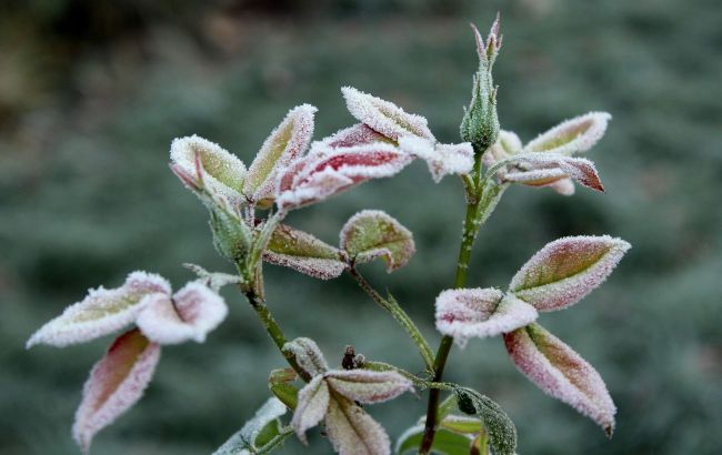 Українців застерегли від походів в гори у найближчі години