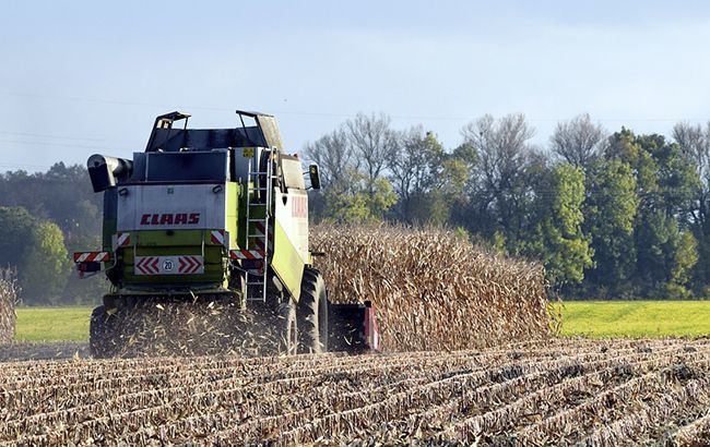 В Украине вступил в силу закон о требованиях к маркировке органической продукции