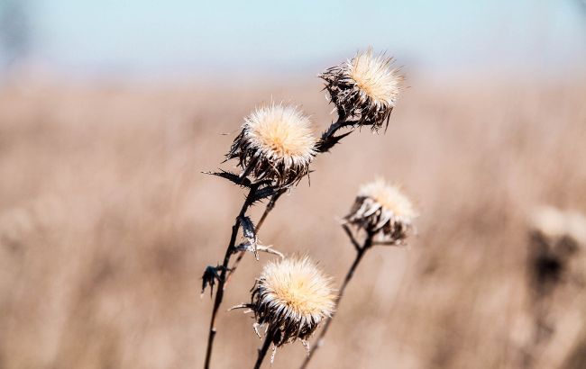 В Україну йде "сезон посухи": де буде найспекотніша погода