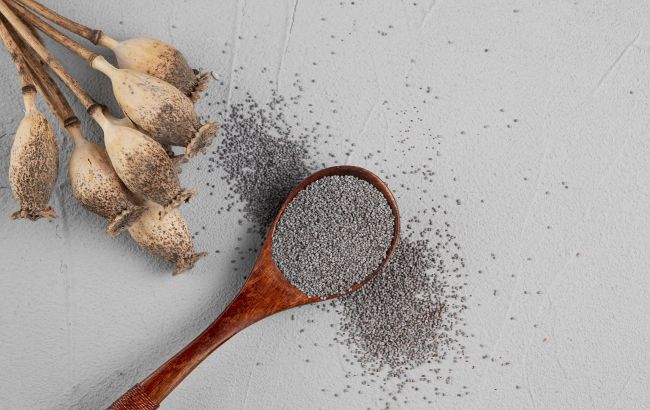 Від випічки до залежності: приховані ризики маку, про які ви не знали