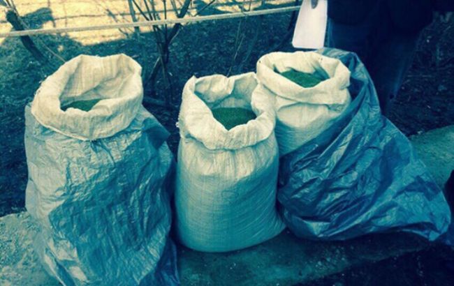 В Днепропетровской обл. правоохранители изъяли наркотиков на 1 млн гривен