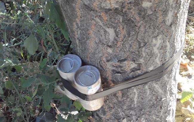 В Одессе на улице обнаружили самодельную бомбу, - МВД