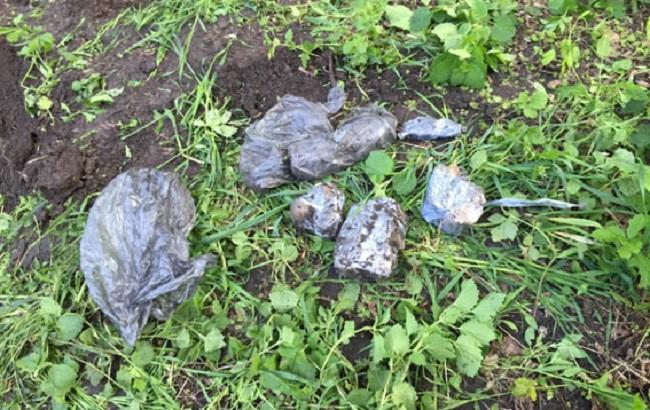 В Одессе в парке обнаружили взрывчатку и боеприпасы