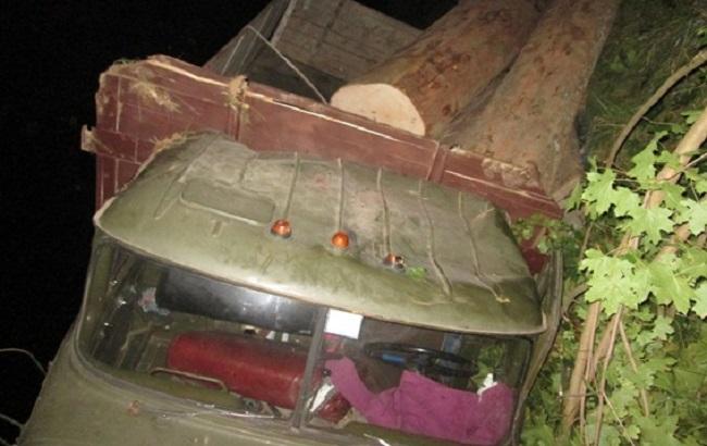 На Закарпатье незаконная рубка деревьев привела к гибели 2 человек