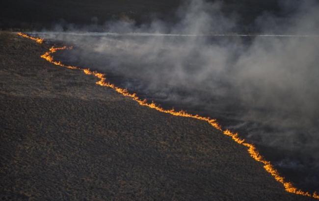 Облако из-под Чернобыля отнесло на север к границам Беларуси, - экоцентр