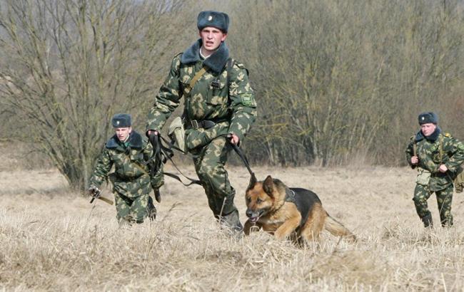 В Беларуси пограничники усилили меры безопасности на границе с Украиной после попытки прорыва