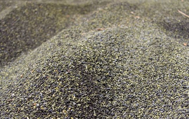 В Польше произошел взрыв на пороховом заводе