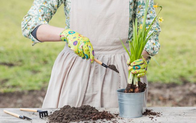 Місячний посівний календар на квітень 2025: сприятливі дні для кожної справи