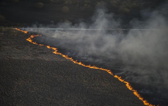 Пожар под Чернобылем: МЧС Беларуси заявляет о нормальном радиационном фоне