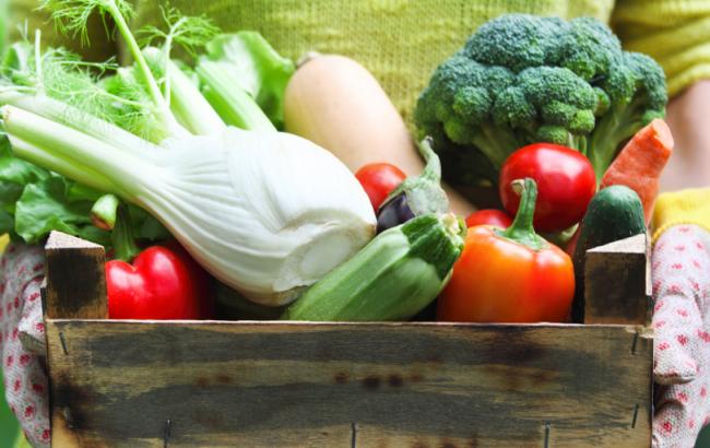 Правильне харчування - це здоров'я для організму і відмінне самопочуття