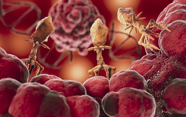 Как поднять гемоглобин в домашних условиях: советы и список продуктов