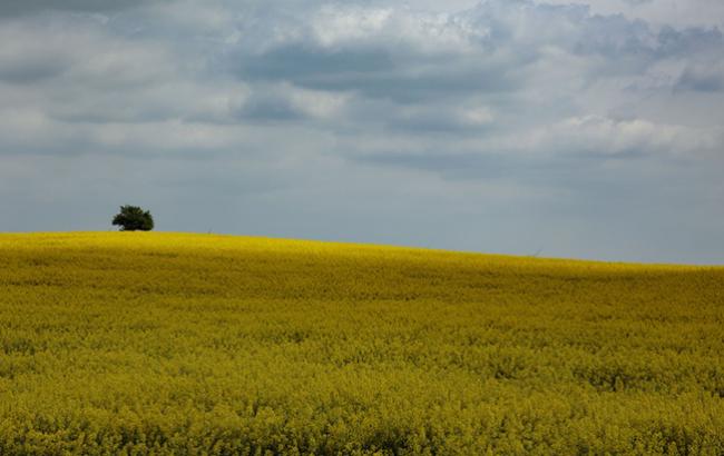 Погода на сегодня: в Украине без осадков, температура до +28