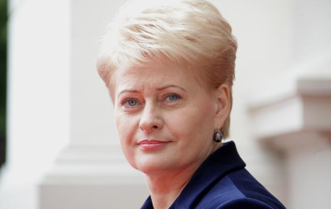 Росії є що приховувати про катастрофу Boeing на Донбасі, - Президент Литви