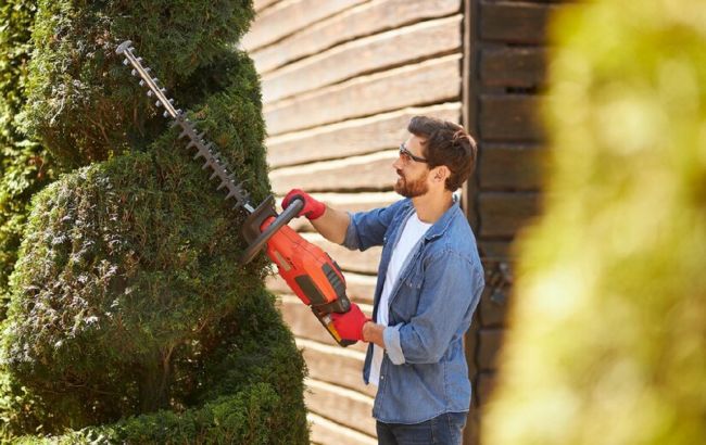 Які дерева не можна обрізати восени, щоб не загубити урожай