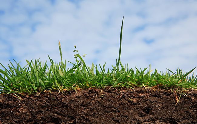 Большинство украинцев против продажи земли и хотят референдум