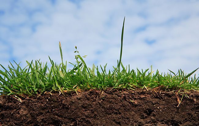 Більшість українців проти продажу землі