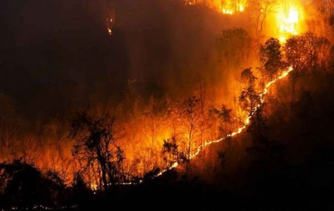 В Испании вновь вспыхнули лесные пожары: власти подозревают умышленный поджог