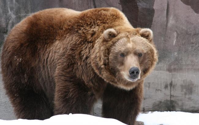Гороскоп на сегодня, 5 декабря
