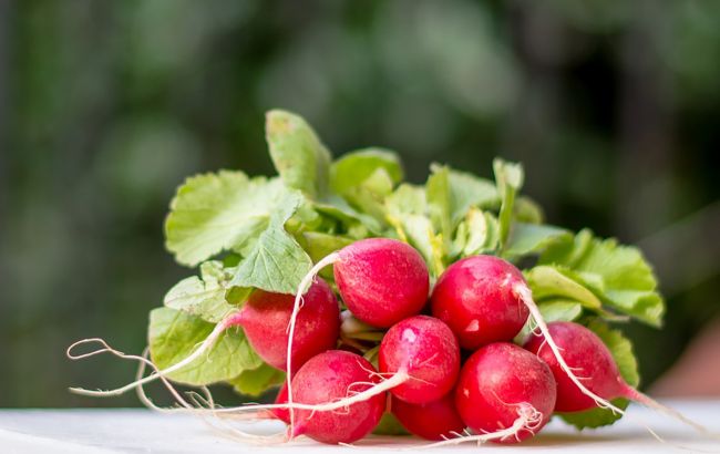 Врачи рассказали, кому категорически нельзя есть редис
