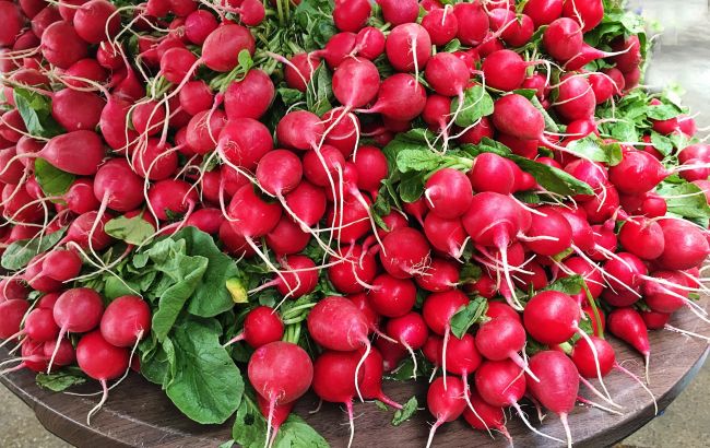 Кому не можна їсти редиску і в чому її справжня користь