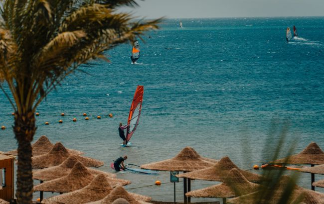 На популярном курорте Египта снова появились акулы: что говорят туристам