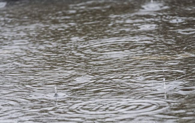 Во Львове после ливня местные жители пересели в лодки (видео)