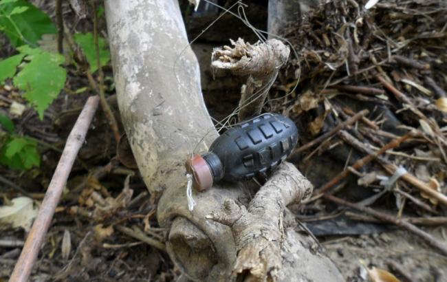В Донецкой обл. с начала года около 100 человек подорвались на растяжках, - МВД