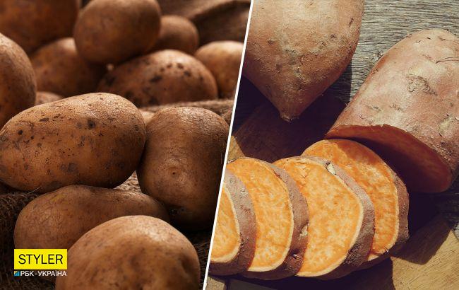 Картопля чи батат: що корисніше і чому