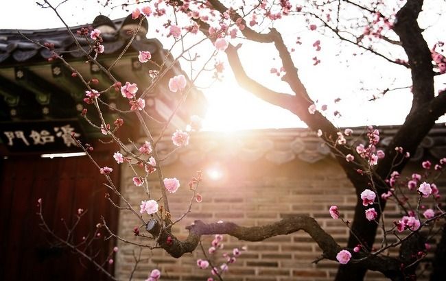 Подставьте носы солнцу: синоптик дала благоприятный прогноз погоды на выходные