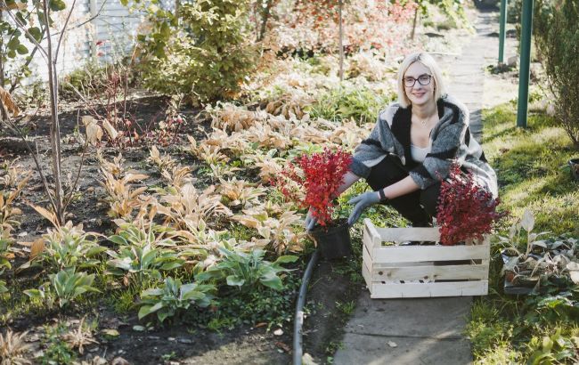 8 важливих справ у саду до холодів: не відкладайте, щоб навесні не шкодувати