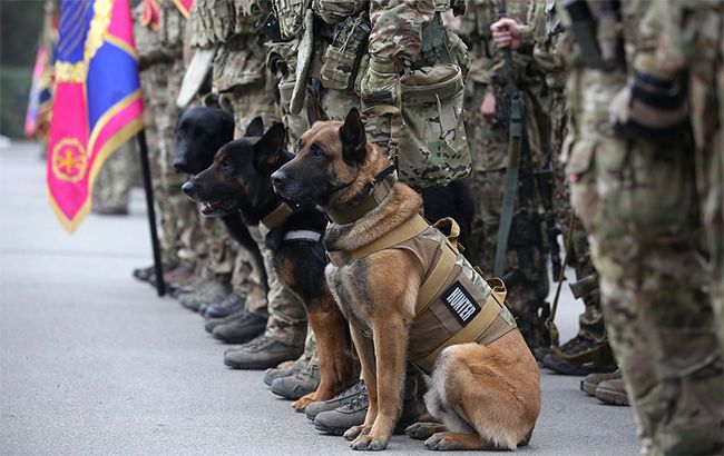 СБУ затримала в Запоріжжі бойовика ЛНР