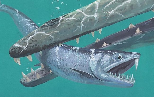 Анчоусы миллионы лет назад были гигантскими саблезубыми хищниками: ученые сделали открытие