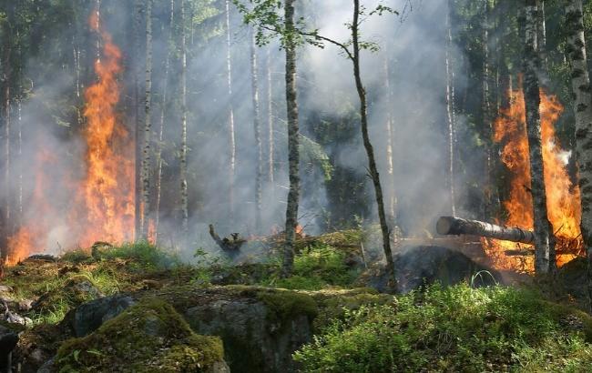"Грустная осенняя традиция": Супрун рассказала, чем опасен поджог сухой травы (видео)