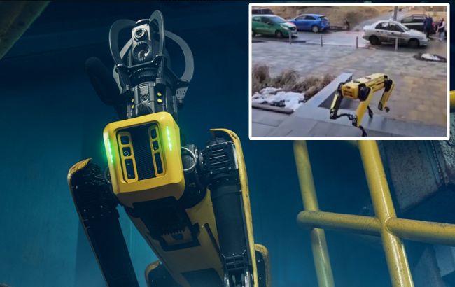 В Киеве заметили робота-пса Spot: разгуливал по улице, разминался в сквере (видео)