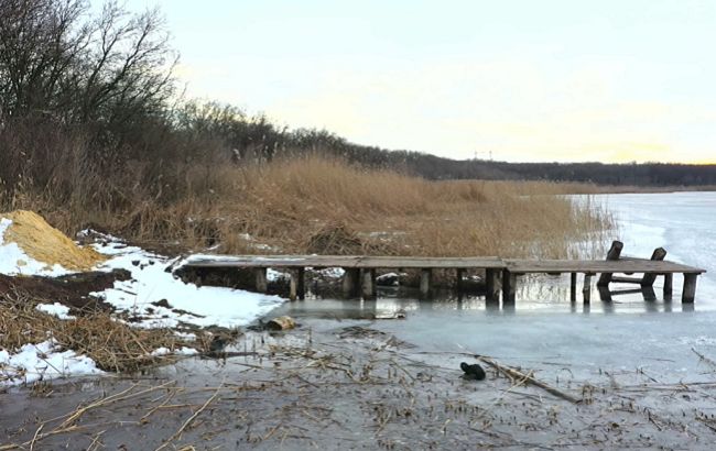 Під Донецьком помітили зникаючого хижака з Червоної книги: рідкісне відео