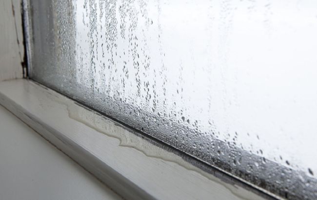 Окна "плачут": какой способ борьбы с конденсатом на стекле может только навредить