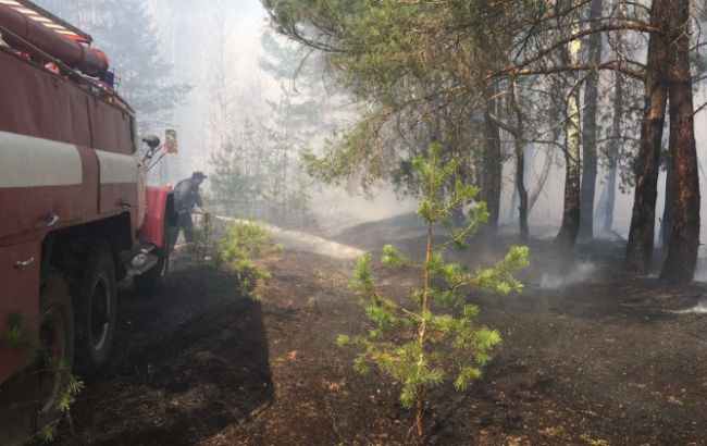 У Чорнобильській зоні з&rsquo;явились три нових осередки тління, - ДСНС