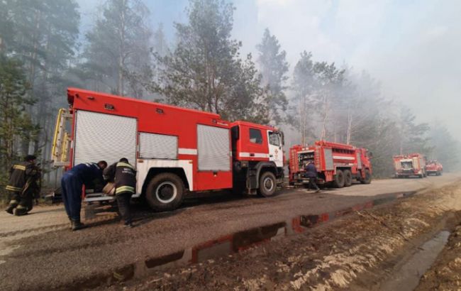 В Житомирской области ликвидировали крупнейший очаг пожара