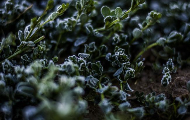 В Україну йдуть сильні заморозки