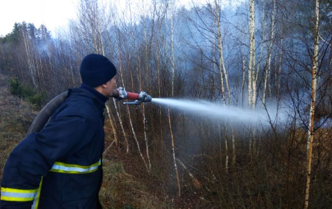 У Житомирській області локалізували всі осередки пожеж