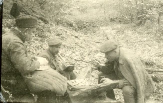 Исследователи опубликовали уникальный архив документов УПА