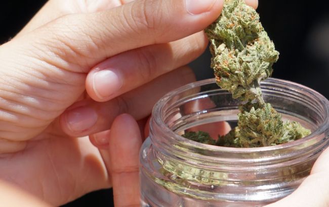 Палата представників в США проголосувала за легалізацію канабісу