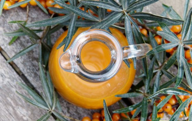 Названа самая полезная украинская ягода: лечит весь мир