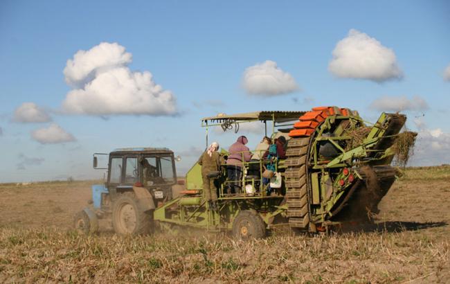 Объем сельхозпроизводства в Украине за 5 мес. сократился на 5,4%