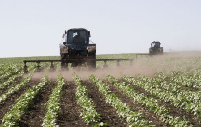 Объем сельхозпроизводства в Украине за 4 мес. сократился на 4,8%