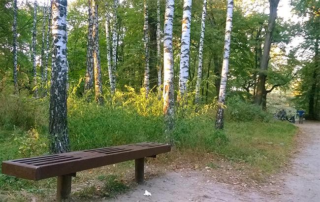 Верховний суд скасував передачу землі в Сирецькому гаю у приватну власність