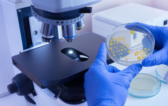 Ученые нашли животное, которому не нужен кислород